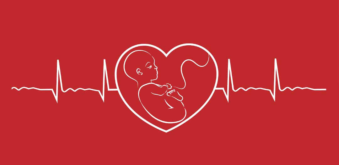 Diretriz brasileira cardio fetal - Doutor Aprende